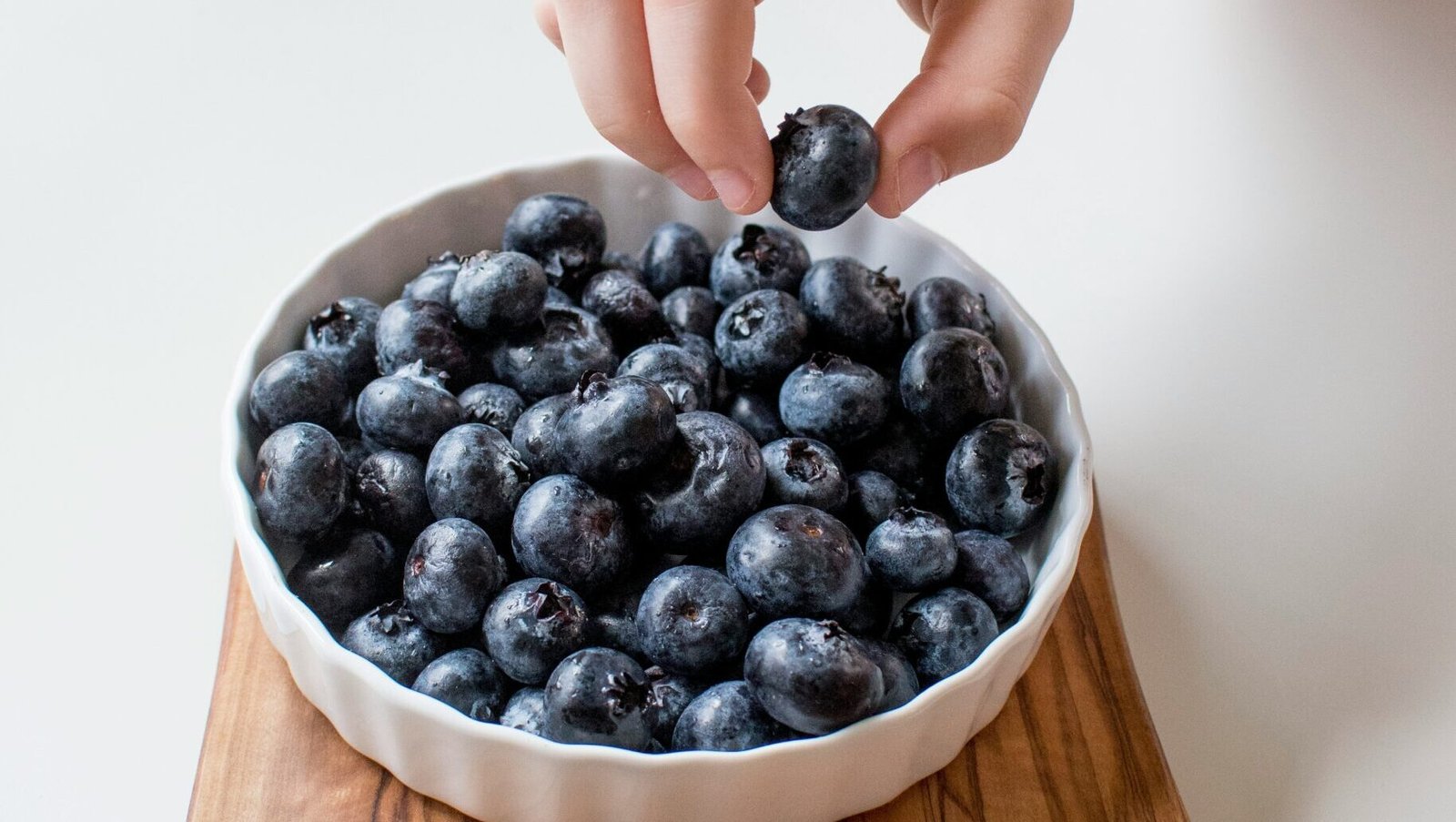 person holding bowl of black berries